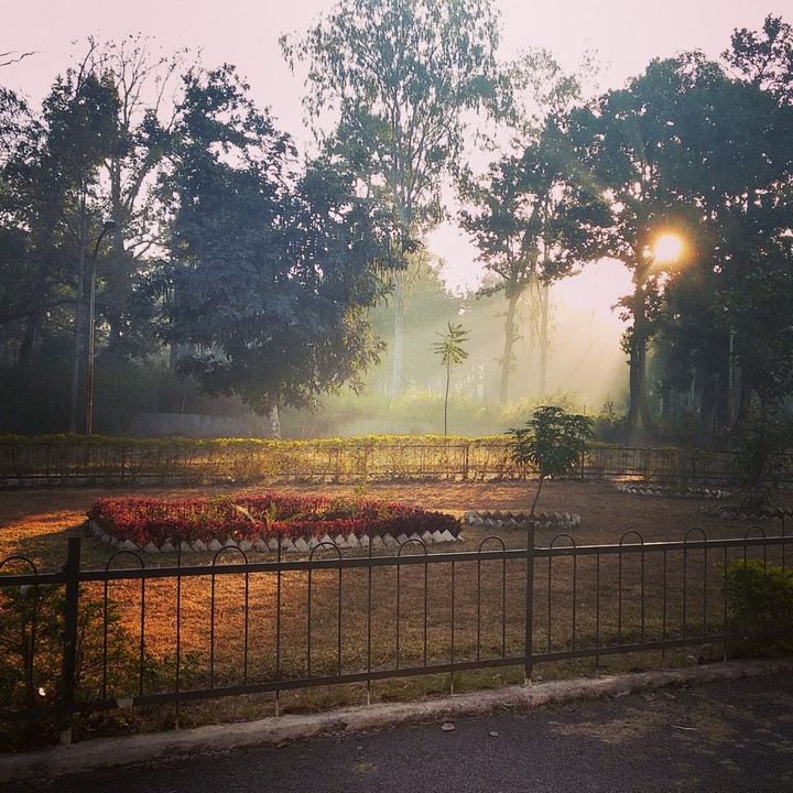 morning sunshine