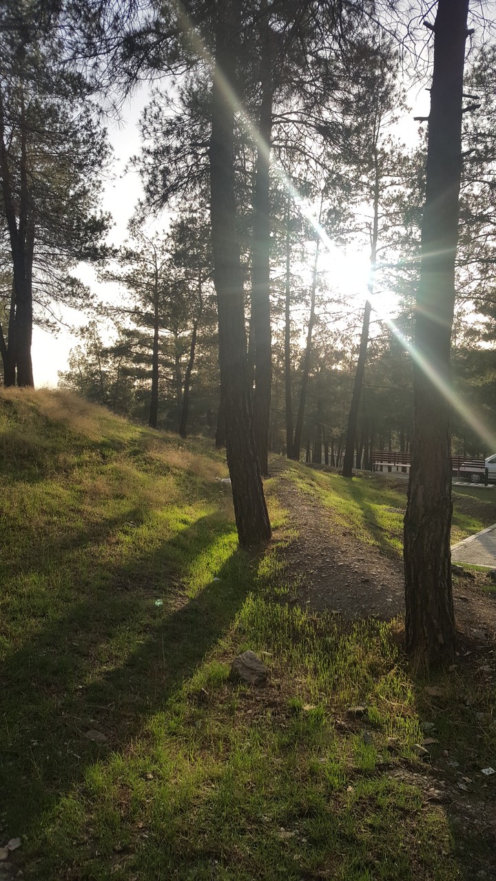 park