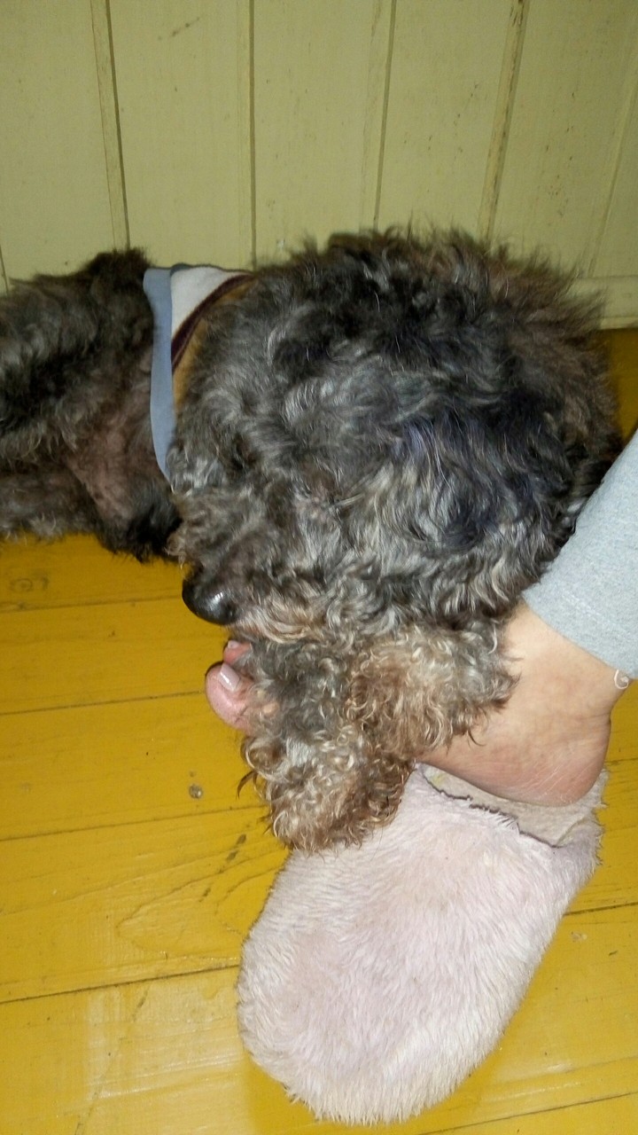 Max