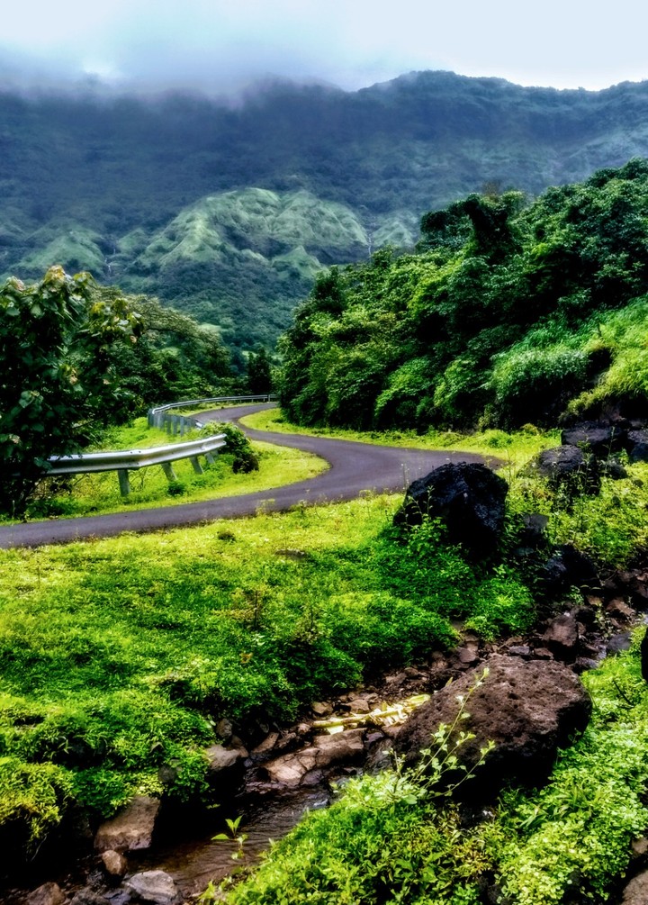 Nature wallpaper
