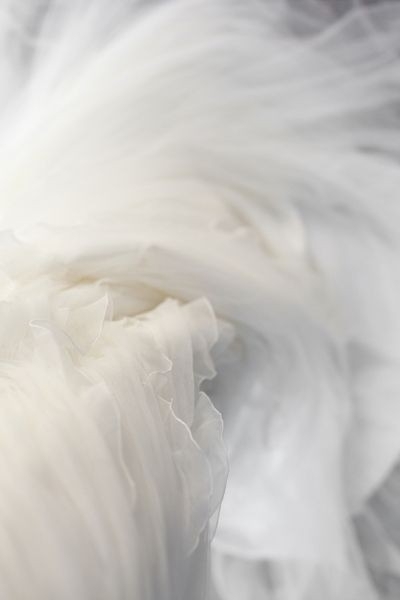Fabric