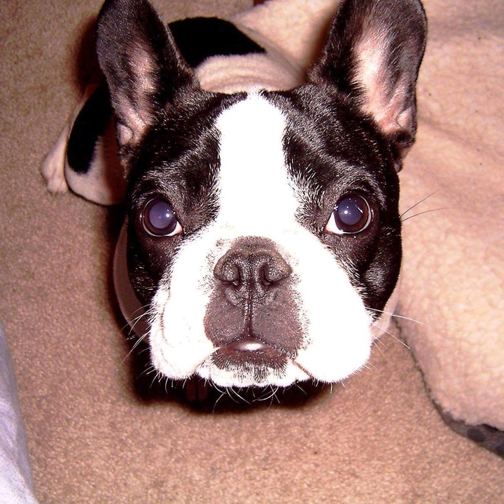My lil fur baby girl around 3-4 months old