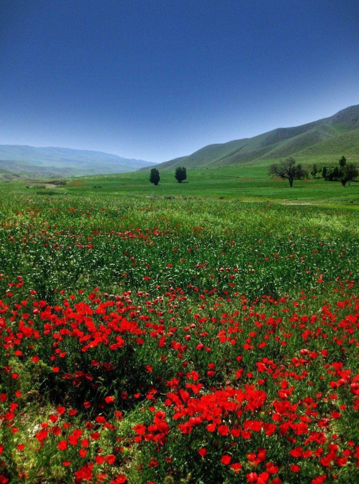 The beautiful nature of Iran