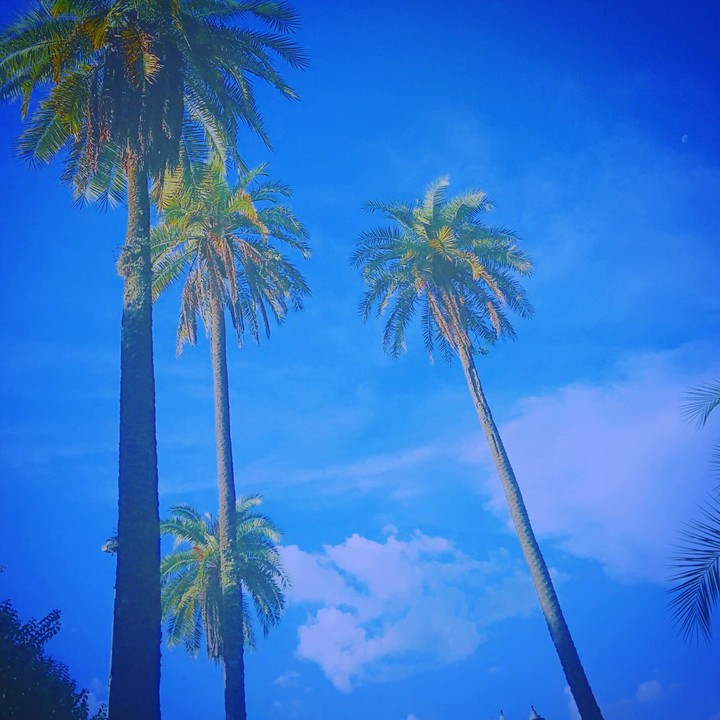 natureza
