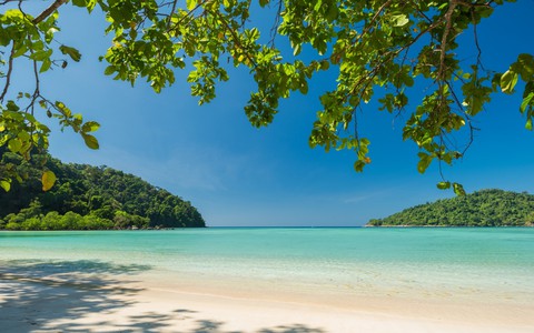 sea