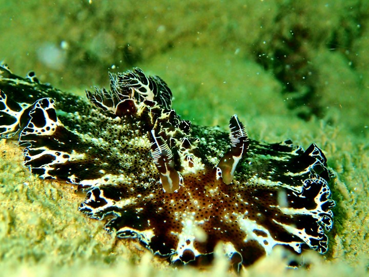 Sibu Island, Malaysia