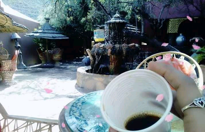 coffee