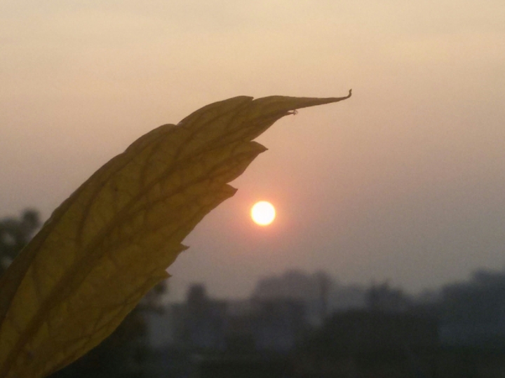 sunrise
