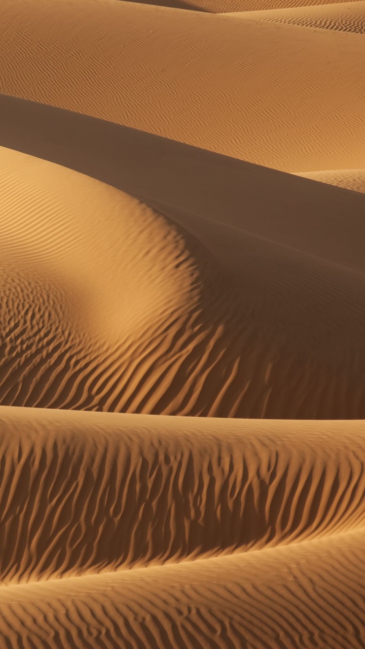 Sand dunes