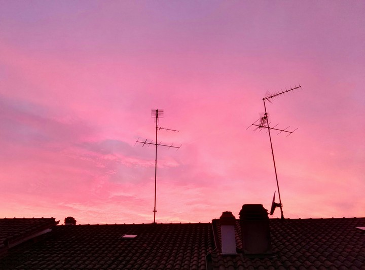 Pink sunset