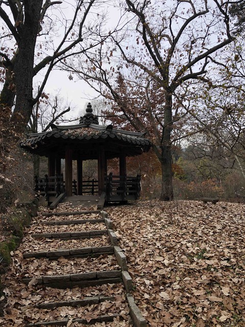 Autumn in Korea 2