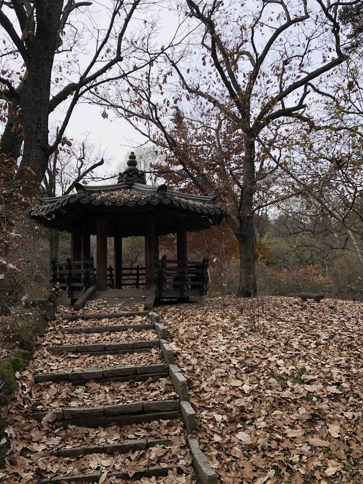 Autumn in Korea 2