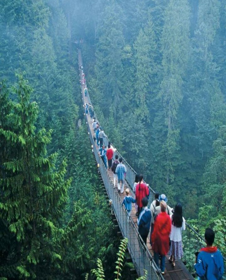 Nature