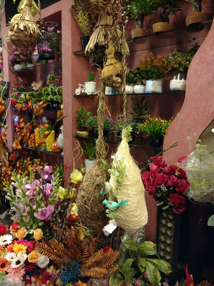 flowers
