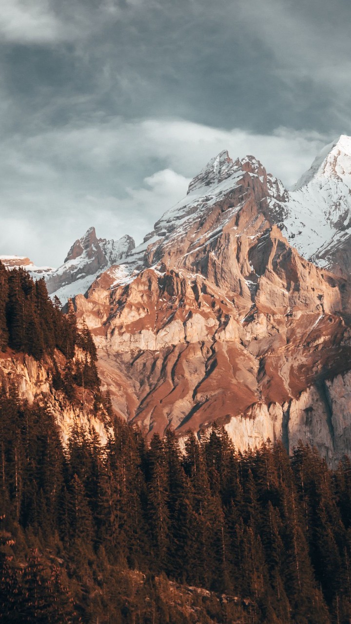 Mountain