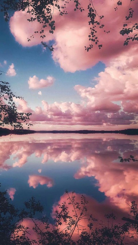 _- Beauty Of Nature -_