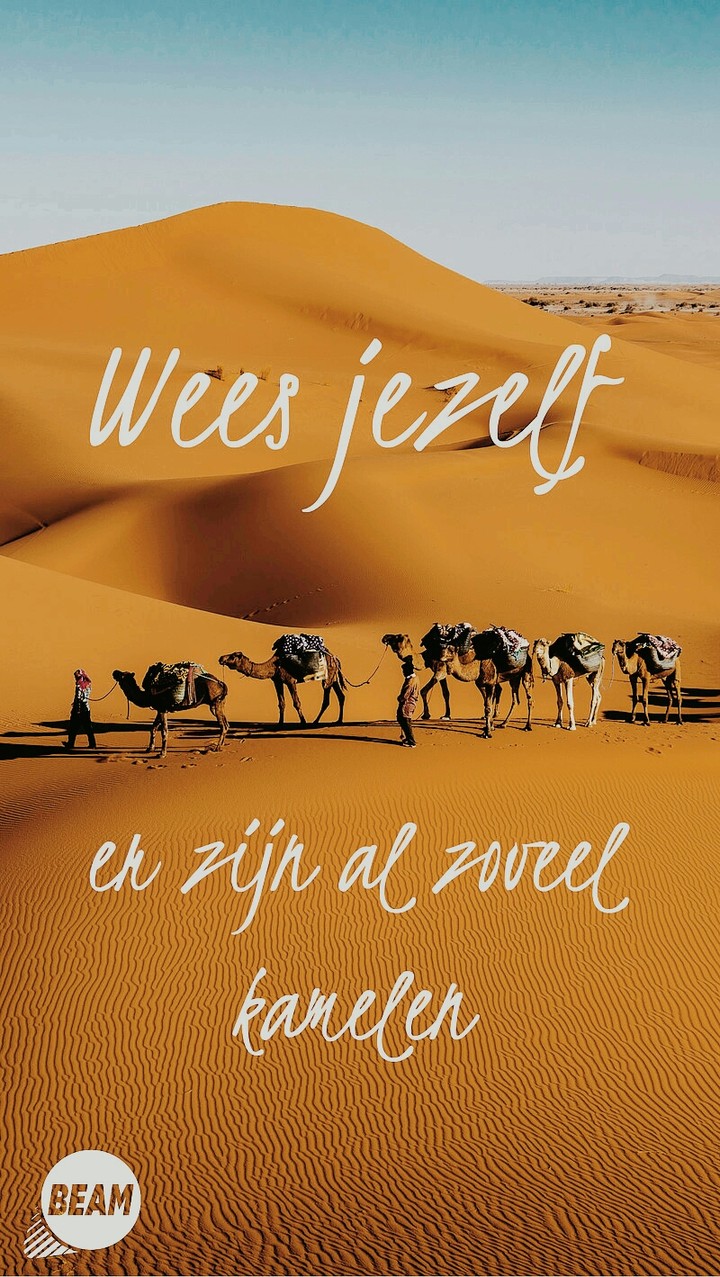 Kamelen