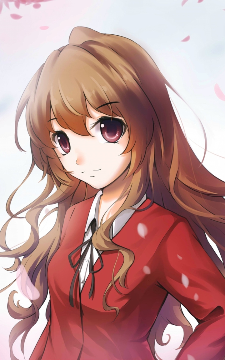 Toradora, aisaka taiga