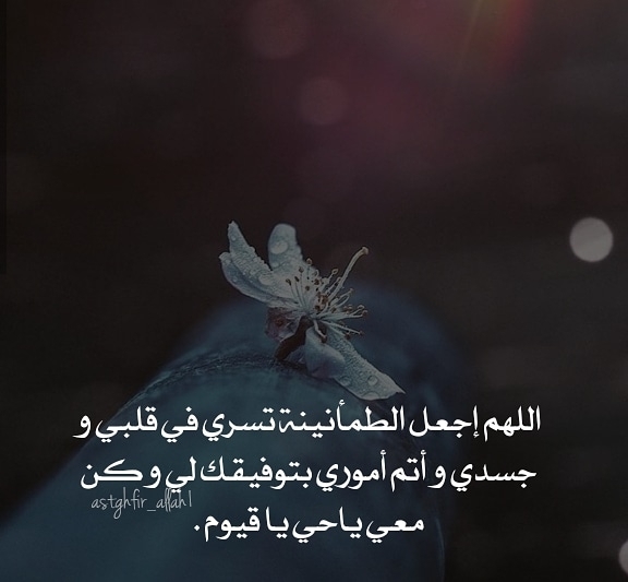 #رحيق_الورد
