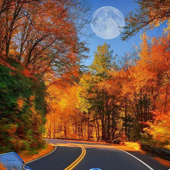 moon