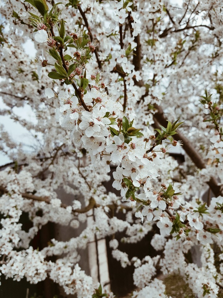 feel the spring