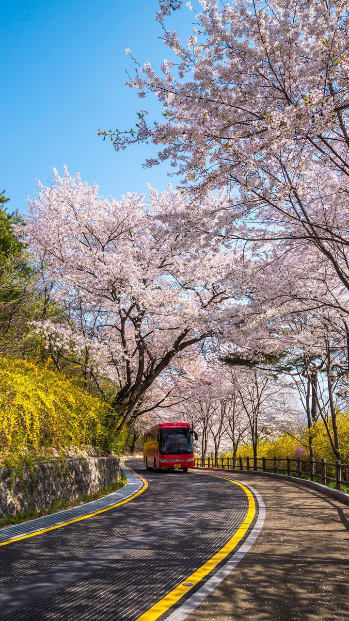 Spring Color