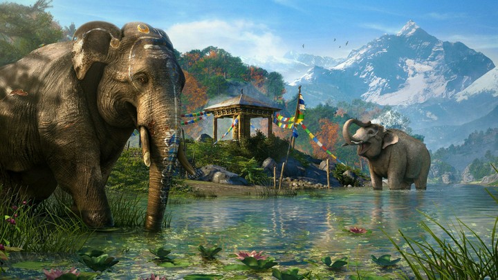 The Elephant