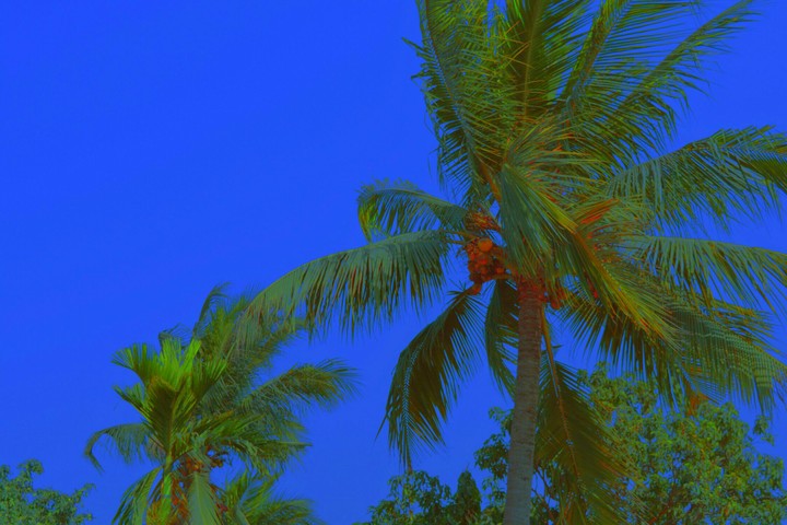 Sky