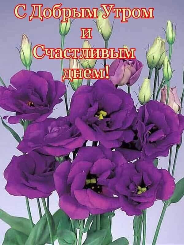 частичка счастья!