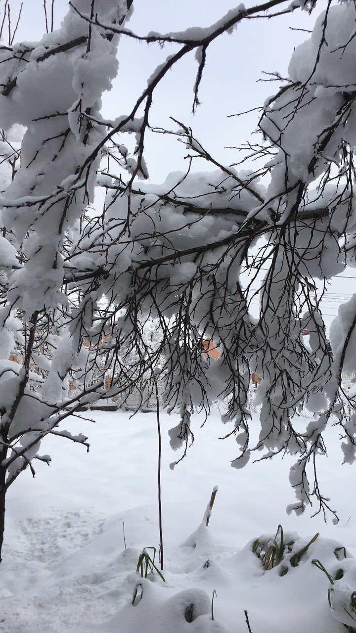 #winter #snow