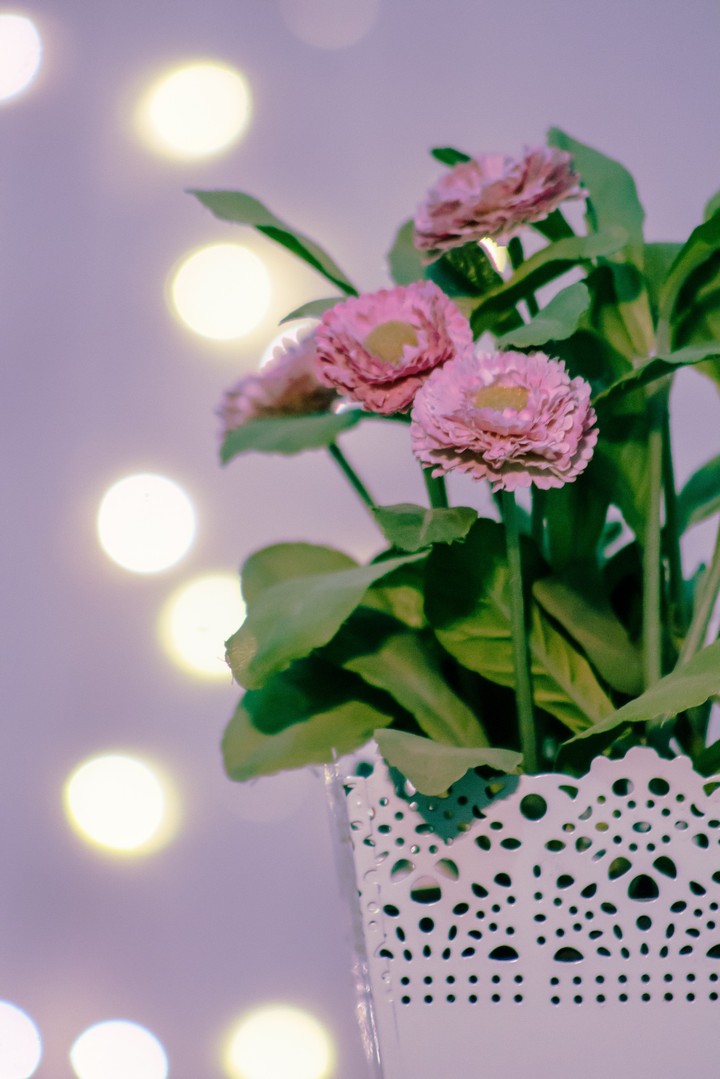 floral story