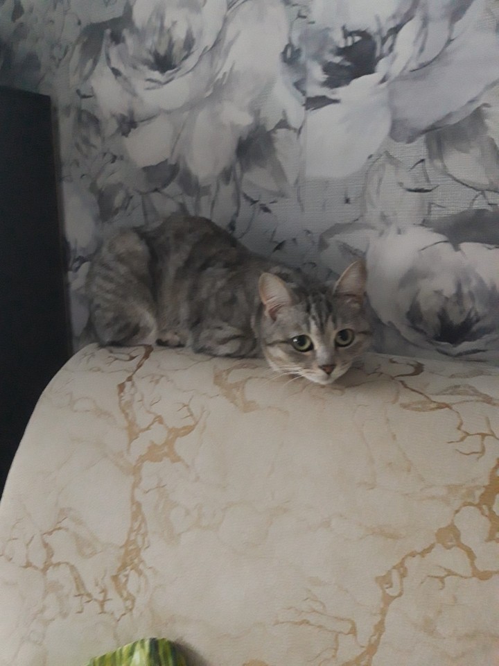 милашка