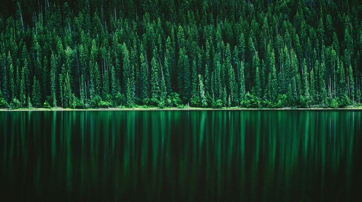 nature