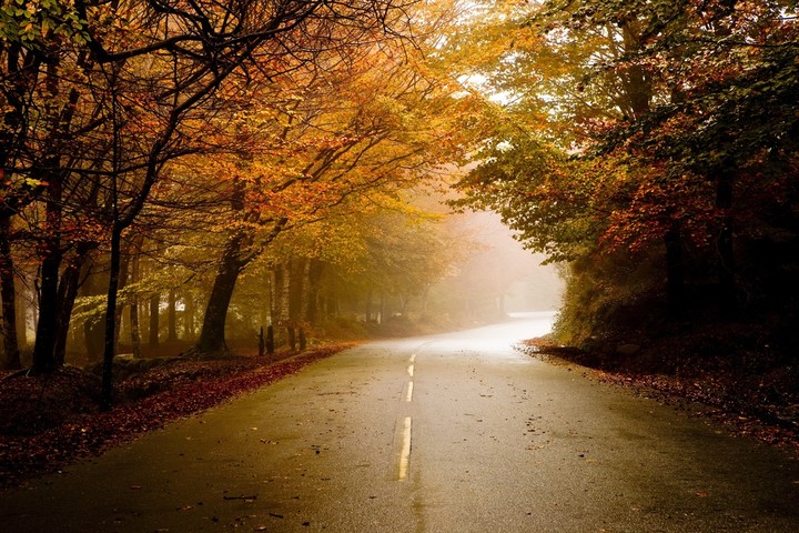 beautiful road..