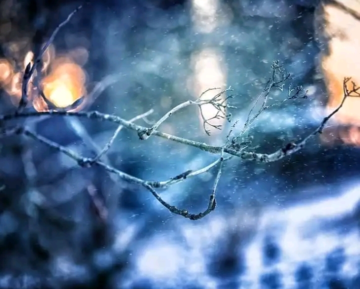 Cool Blue Snow