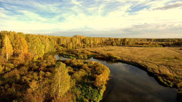 Nature