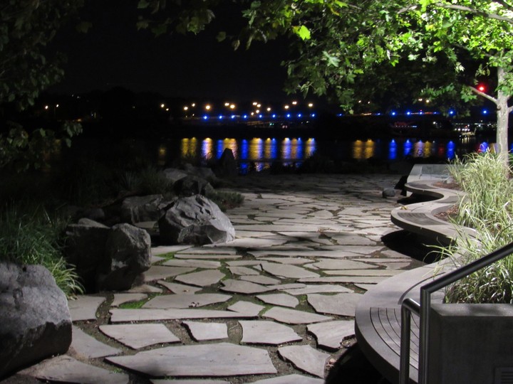 Nature merges with the city