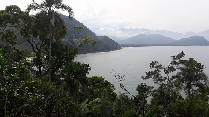 conexão com a natureza
