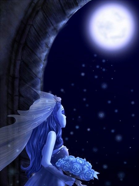 The moon