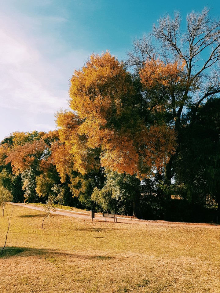 Otoño