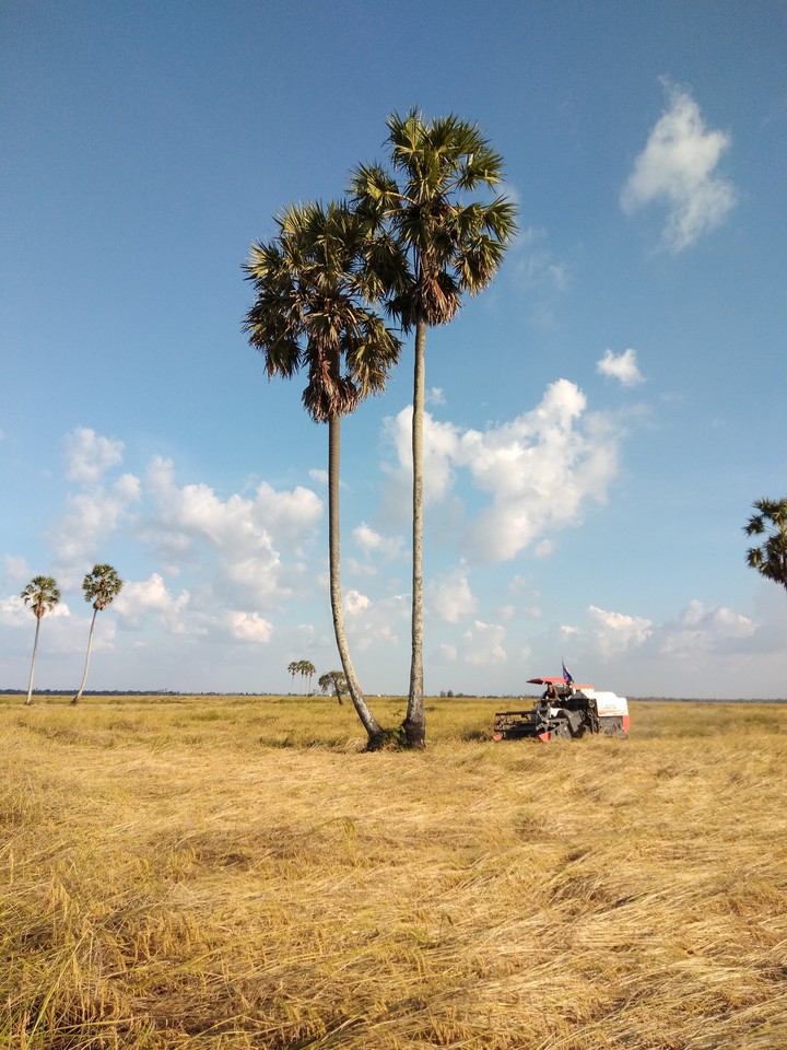 my vilage in cambodia