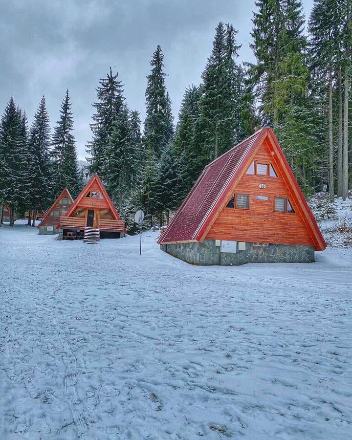 winter
