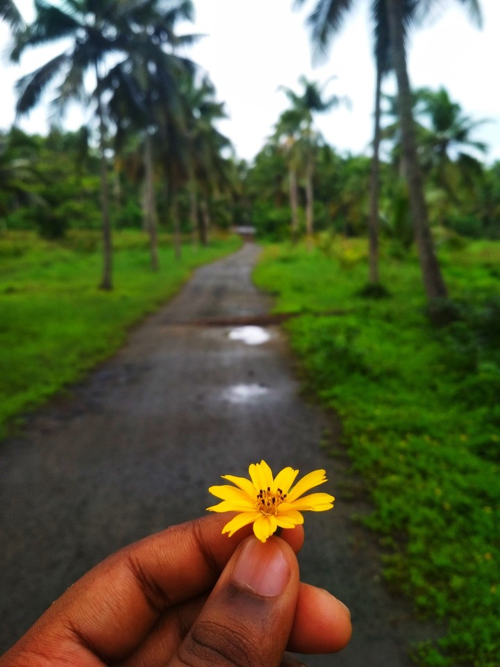 kerala