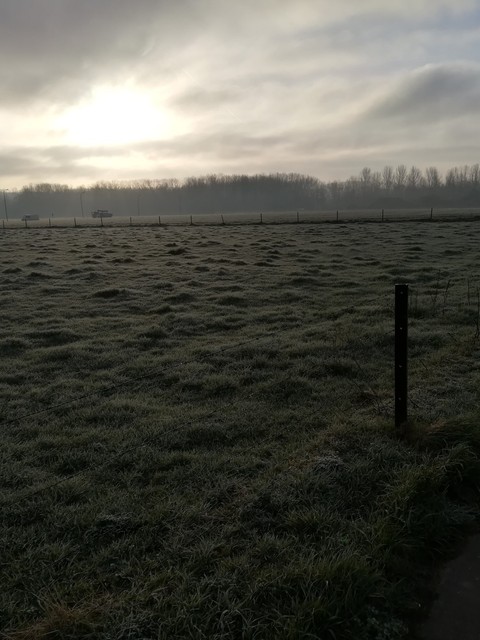Morning