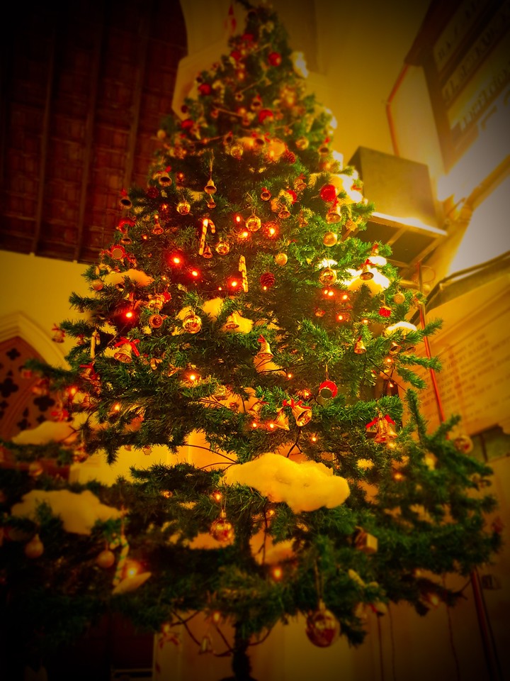 under the tree