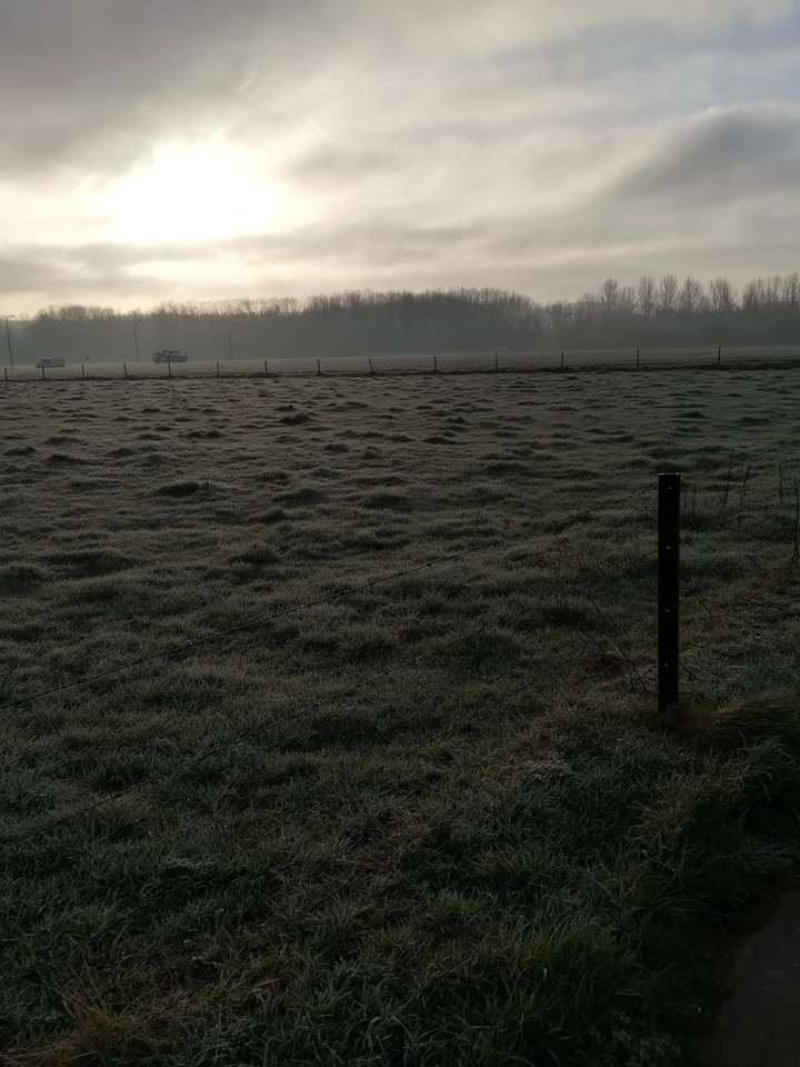 Morning