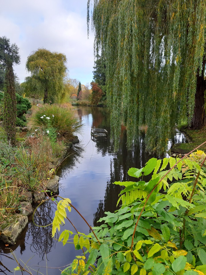 jardin