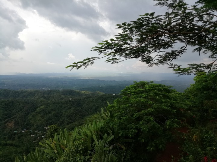 Nature
