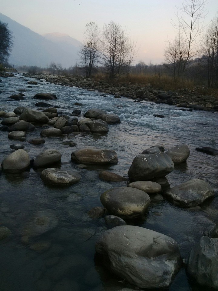 Nature