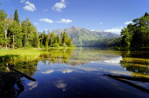 paisagem